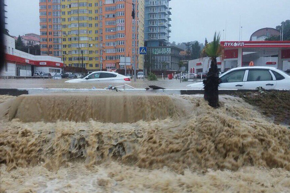 ФОТО: соцсети