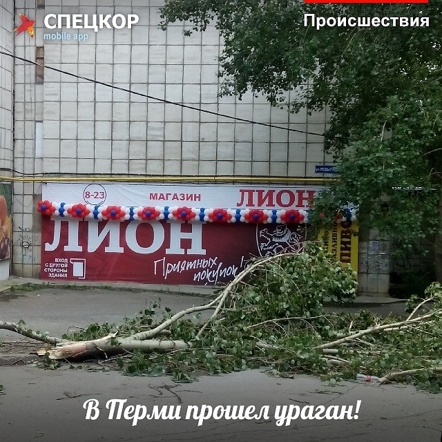 Фото: Мобильное приложение «Спецкор» от «Комсомольской правды»
