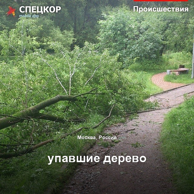 Фото: Мобильное приложение «Спецкор» от «Комсомольской правды»