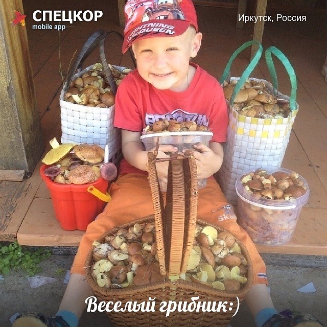 Фото: Мобильное приложение «Спецкор» от «Комсомольской правды»