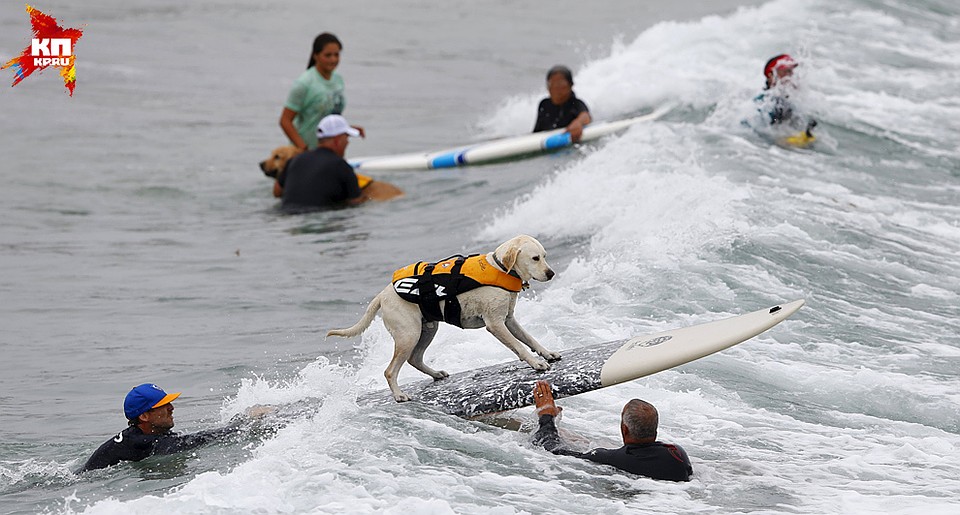 Фото: REUTERS