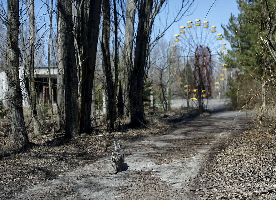 Фото: REUTERS