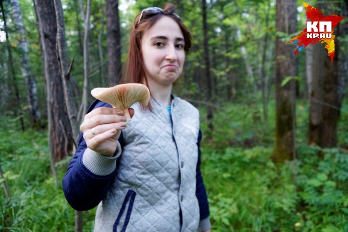 Как правильно выбрать гриб и как его приготовить