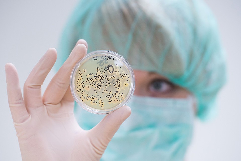 В пробах вечной мерзлоты ученые обнаружили бактерию Bacillus F, которая живет себе припеваючи уже... 3 миллиона лет.