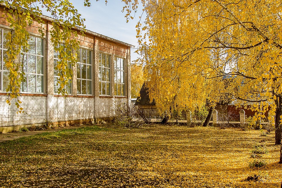Учитель стрелял в девятиклассников, которые курили в кустах на углу школы.