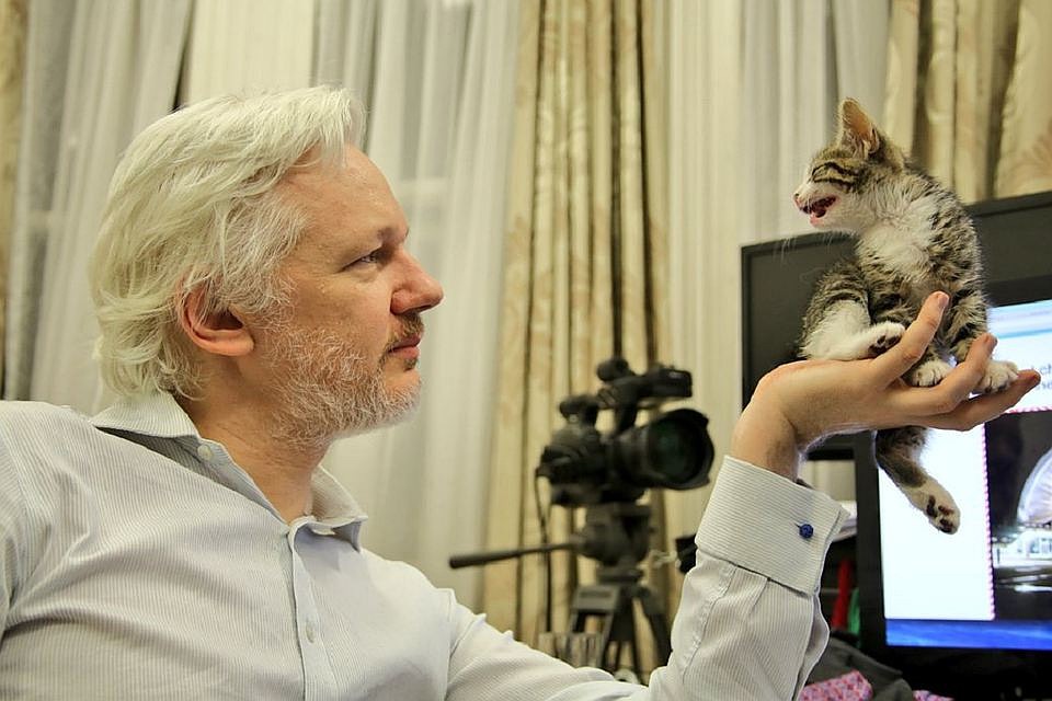 Создатель скандального сайта WikiLeaks Джулиан Ассанж. Фото: EmbassyCat/ Twitter