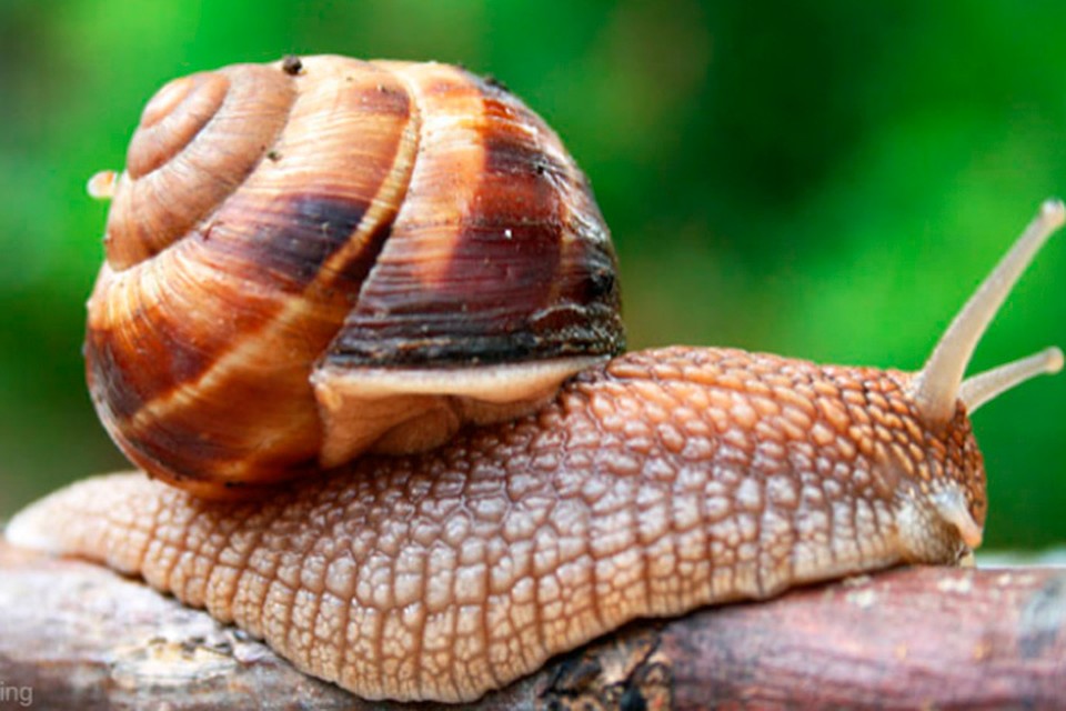 фото: http://doctiming.bg