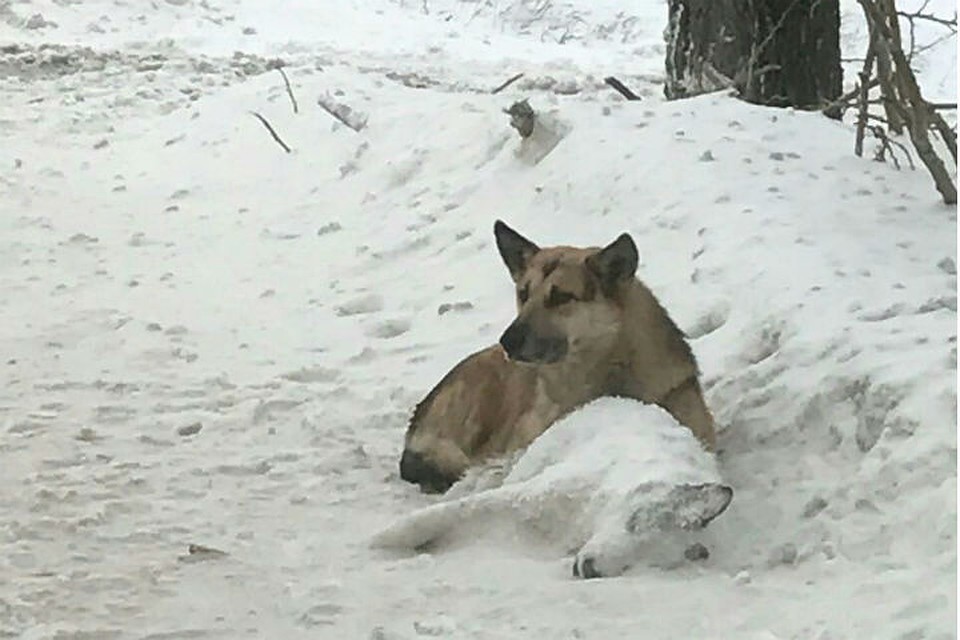 Фото: соцсети