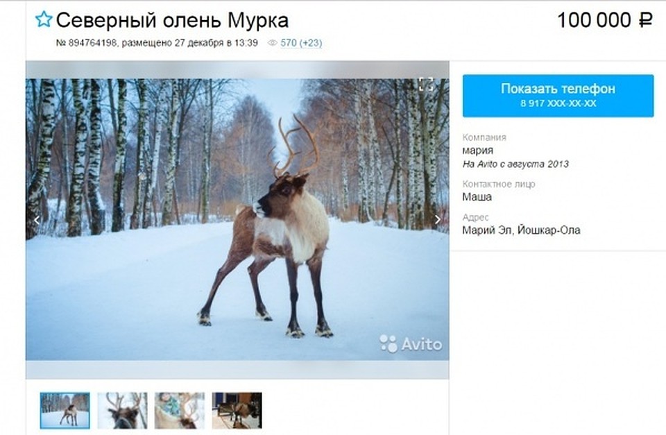 Фото: avito.ru