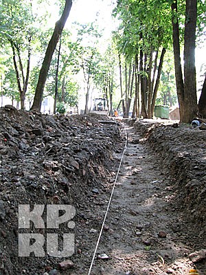 Фото: Александр БОЙКО
