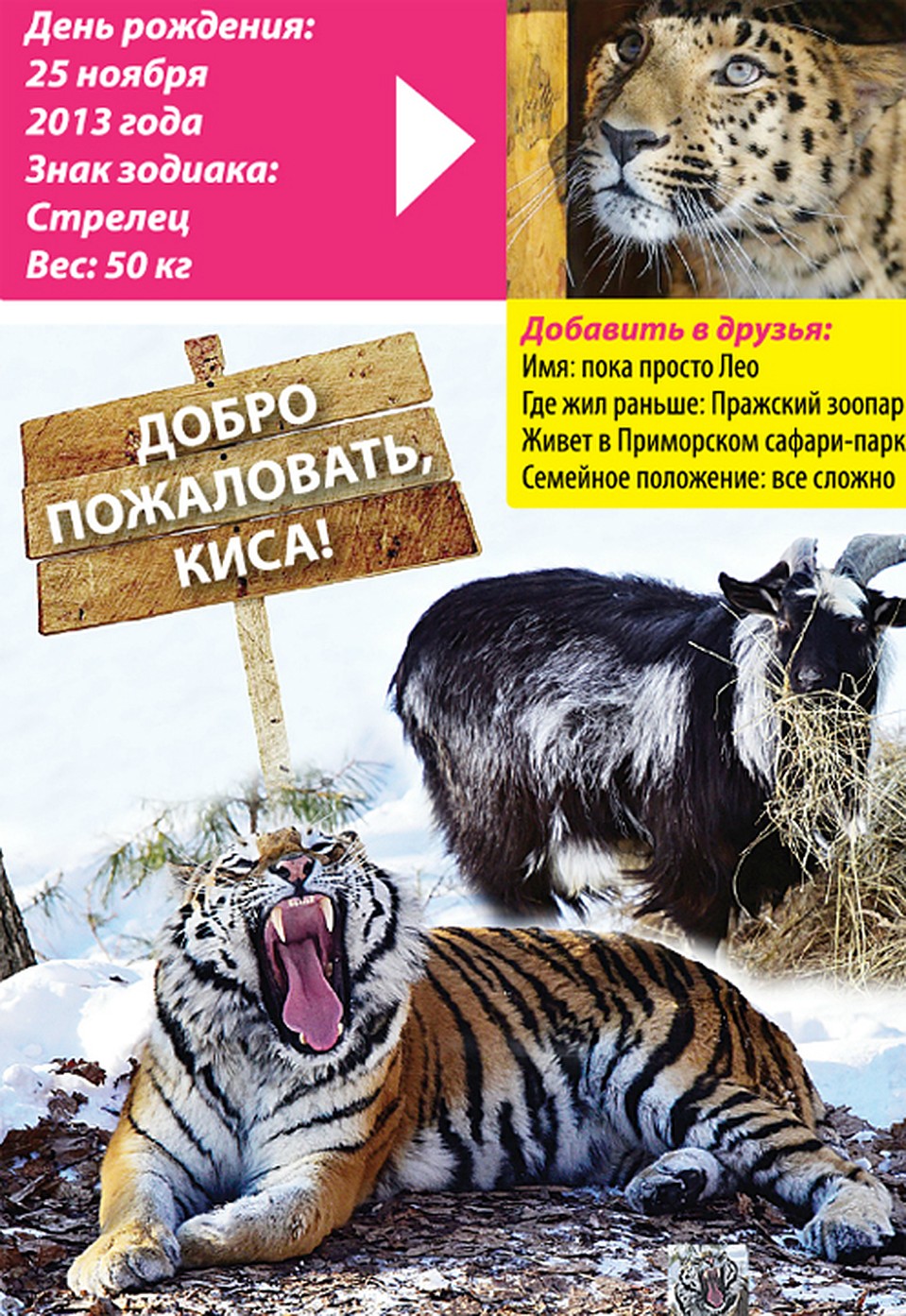 Фото: РИА Новости