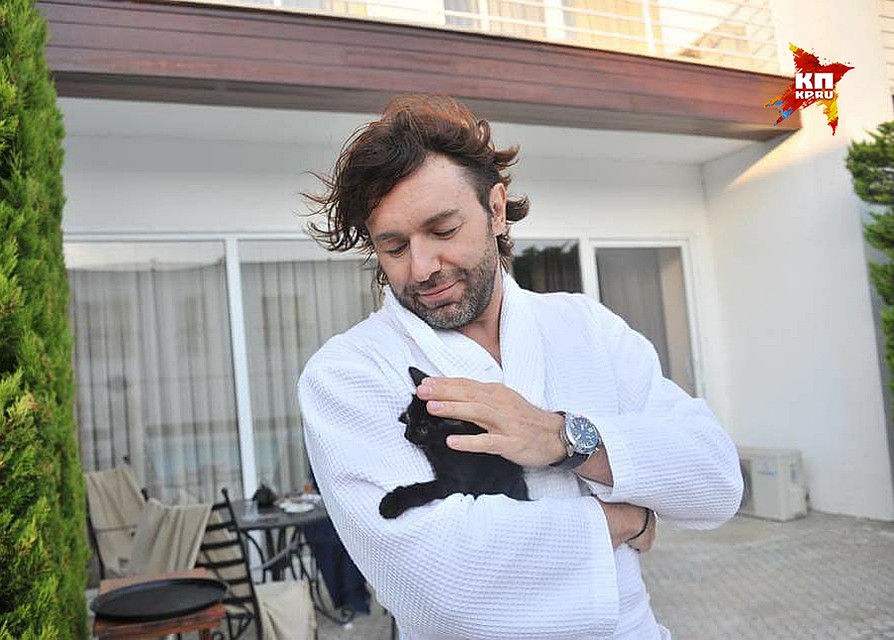 В честь Филиппа Киркорова Андрей Малахов назвал котёнка Филей Фото: Евгения ГУСЕВА