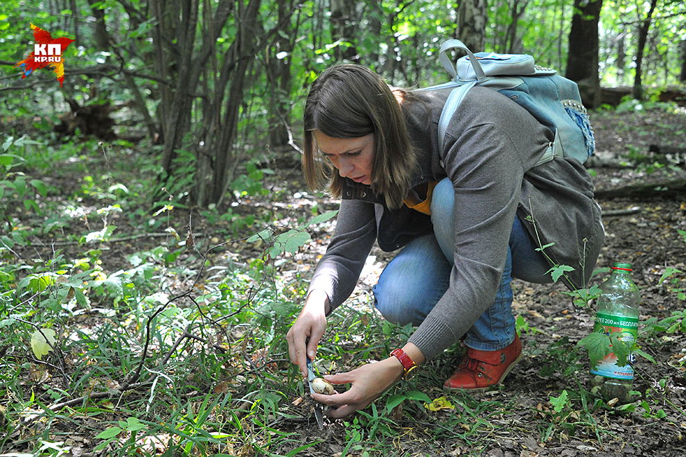 Алиса на "тихой охоте" Фото: Виктор ГУСЕЙНОВ