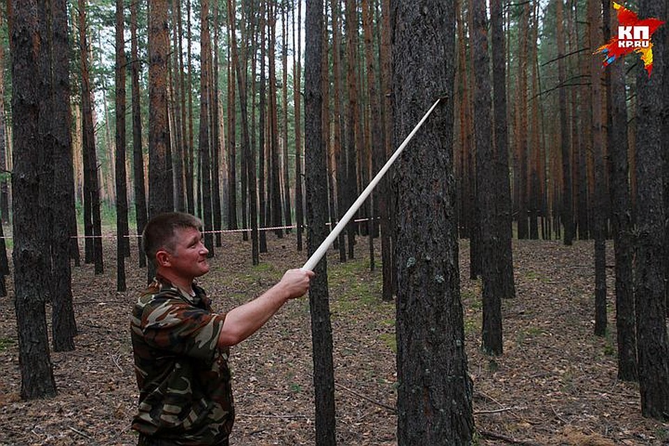 10 вопросов губернатору Карлину от жителей Алтайского края Фото: Олег УКЛАДОВ