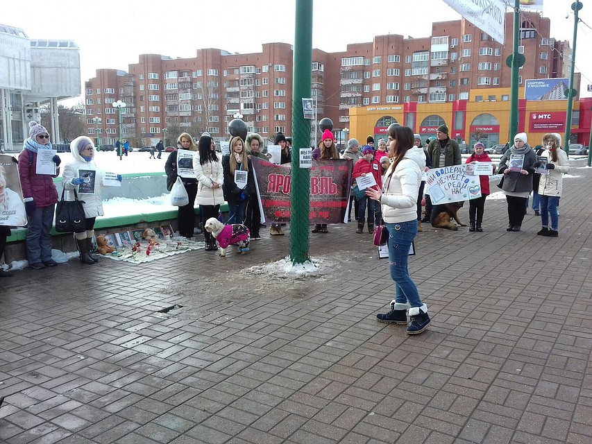 Митинг против живодеров в Ярославле. Фото: Ольга ПРОХОРОВА