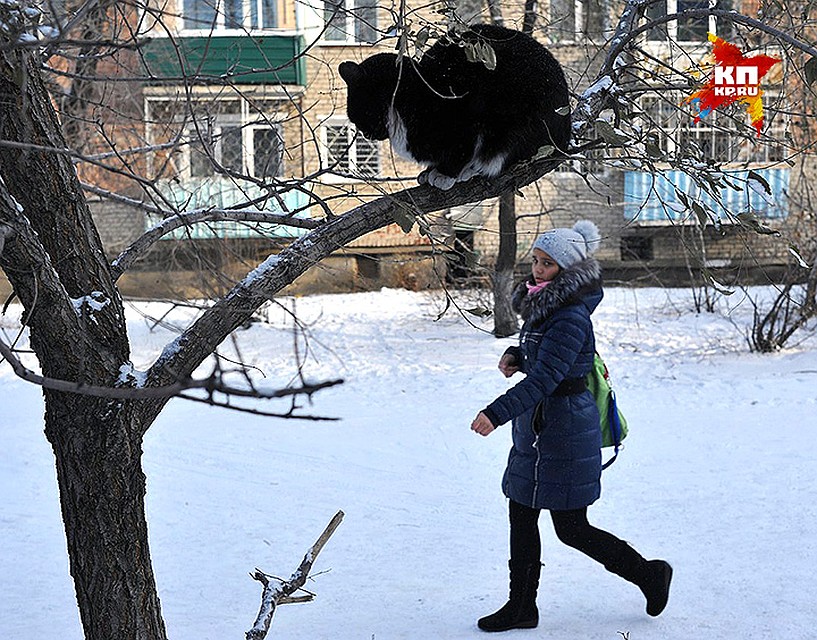 Шилкинские мечты о счастье не ограничиваются "тремя шубами разными", но всё же это показатель достатка. Фото: Виктор ГУСЕЙНОВ