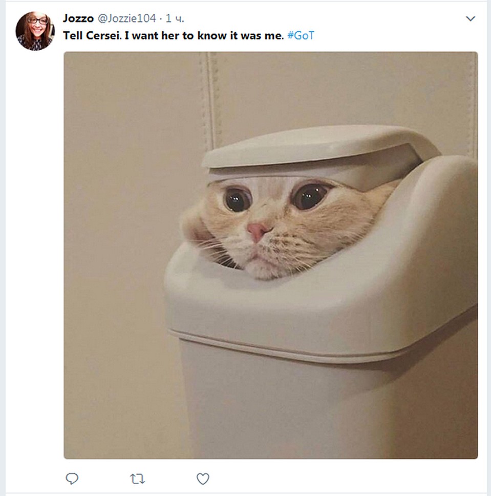 Соцсети заполонили коты в образе героини «Игры престолов» Фото: Twitter.com