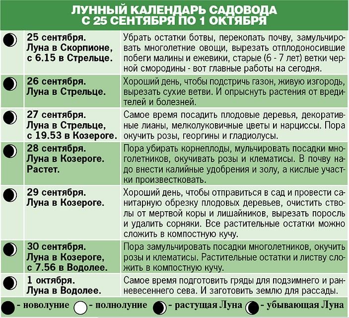 Лунный календарь садовода с 25 сентября по 1 октября