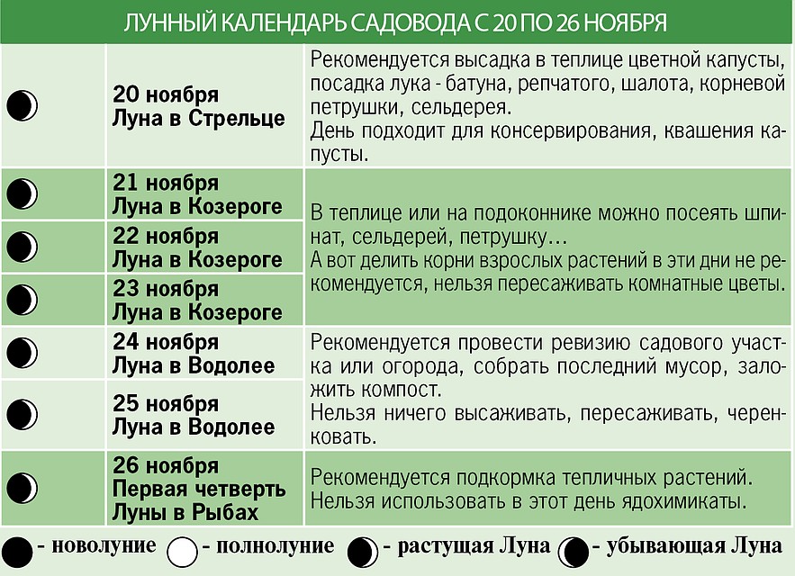 Лунный календарь садовода с 20 по 26 ноября
