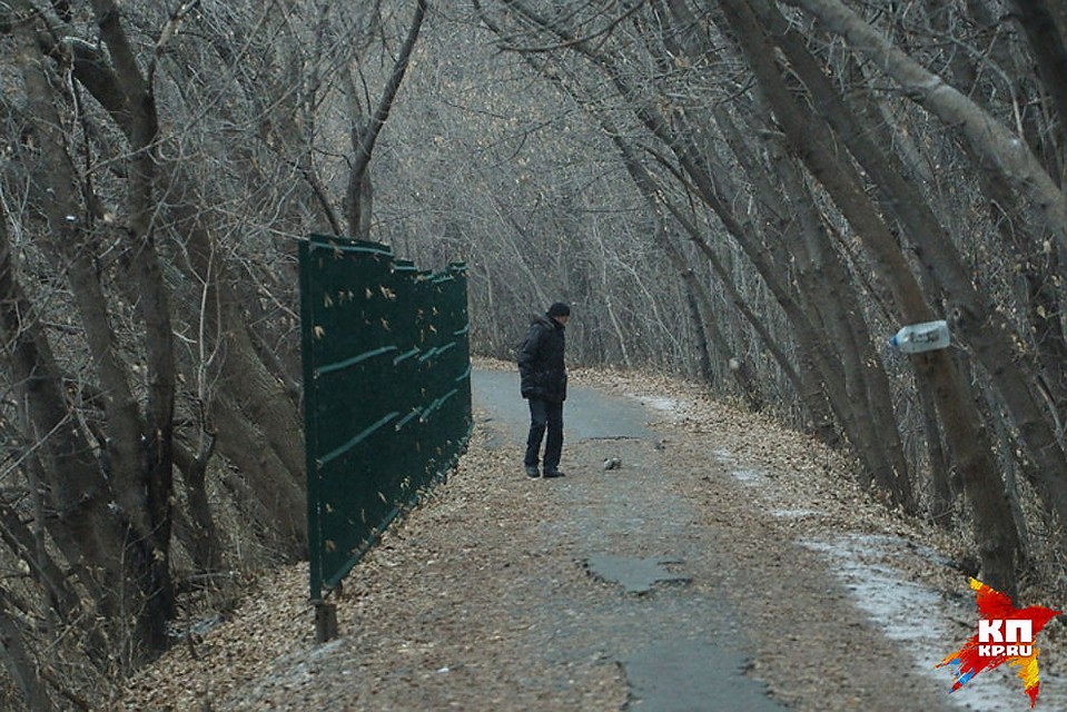 Асфальт на дорожках вздулся так, что легко можно подвернуть ногу Фото: Алексей БУЛАТОВ