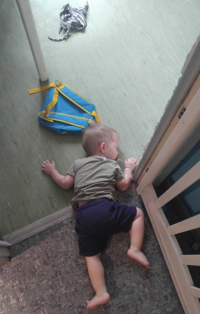 Федор: шёл-шёл и что-то приуснул Фото: Анастасия АКСЯНОВА