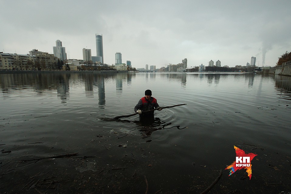 Екатеринбург. Рабочий очищает поверхность городского пруда от мусора. Уровень воды был поднят после отмены решения строителства Храма на воде 27,09,2017 Фото: Алексей БУЛАТОВ