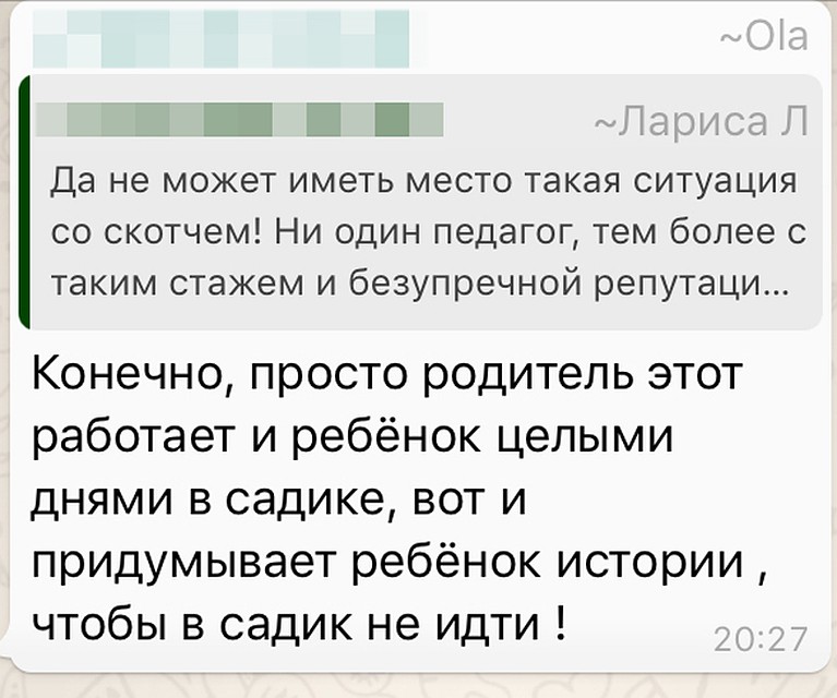 В родительском чате началась травля тех, кто выразил недовольство воспитателями. Угрозы сыпались одна за другой