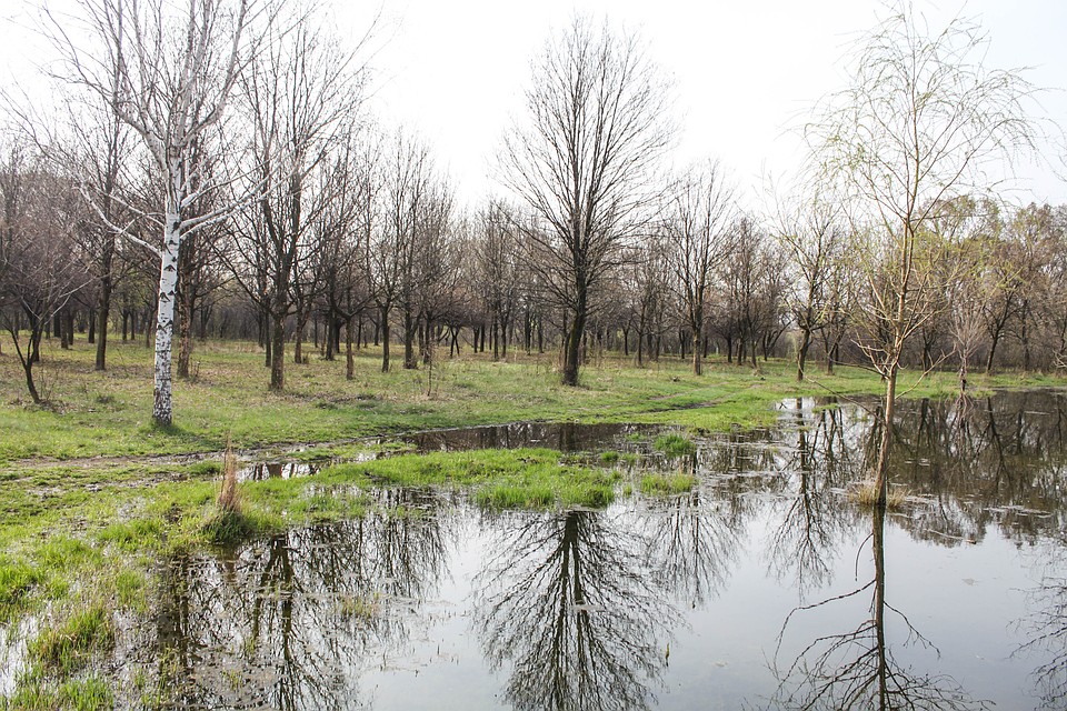 Зуевка славится своей природой