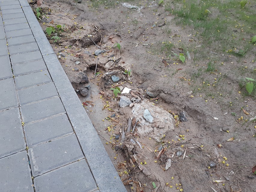 Прокладывать ливневки в этом году не будут Фото: Архив КП