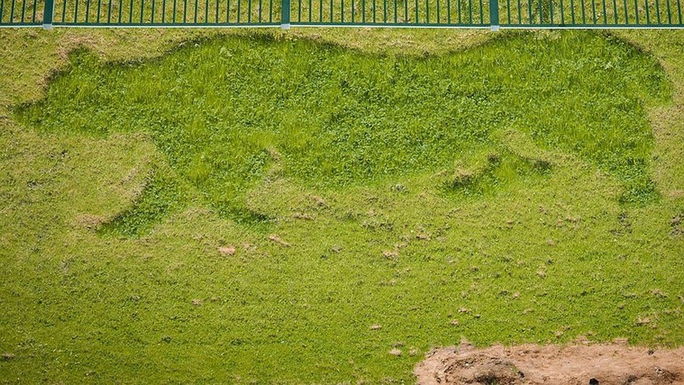 Фото: Сергей Грачев
