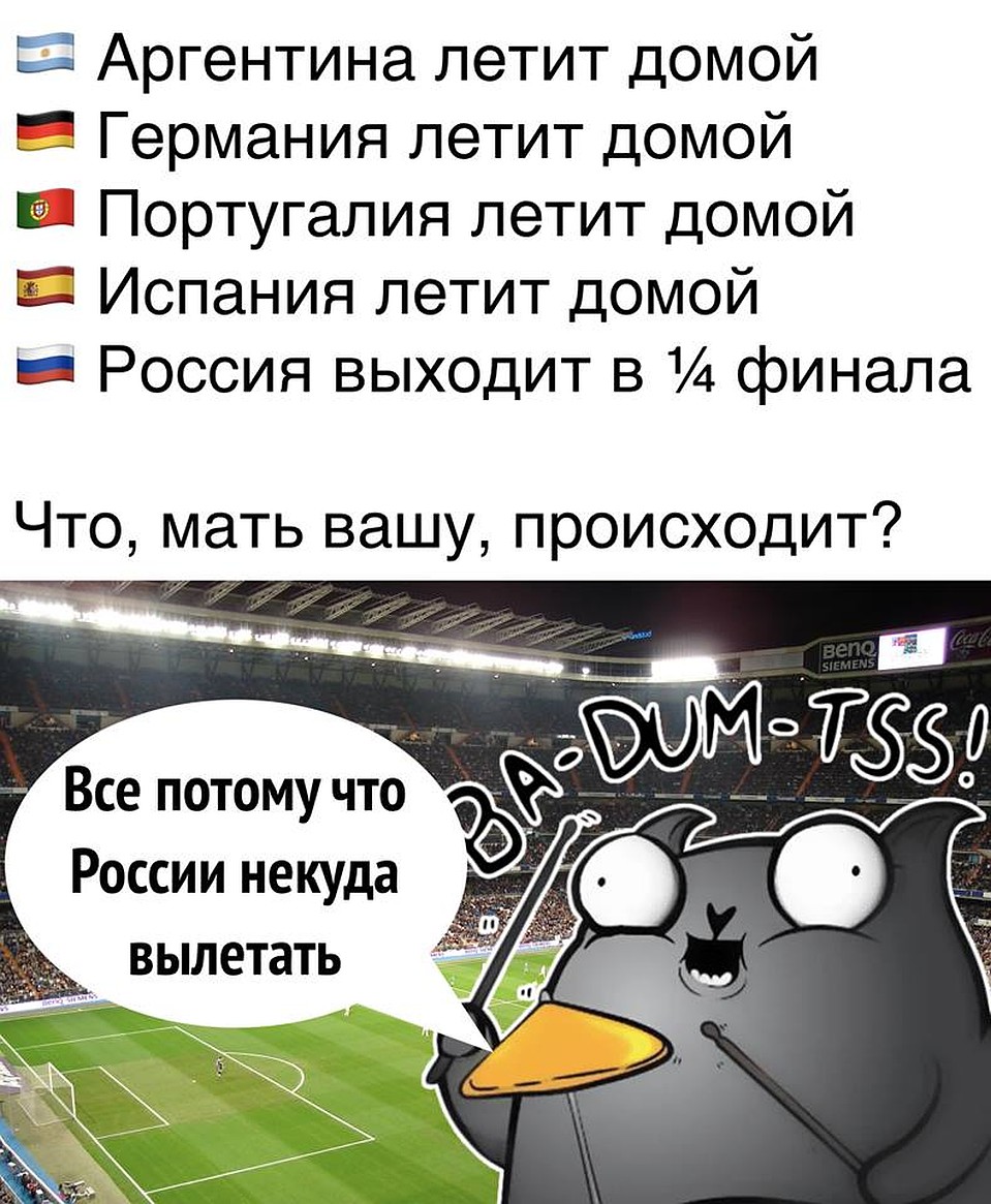 . Фото: СОЦСЕТИ