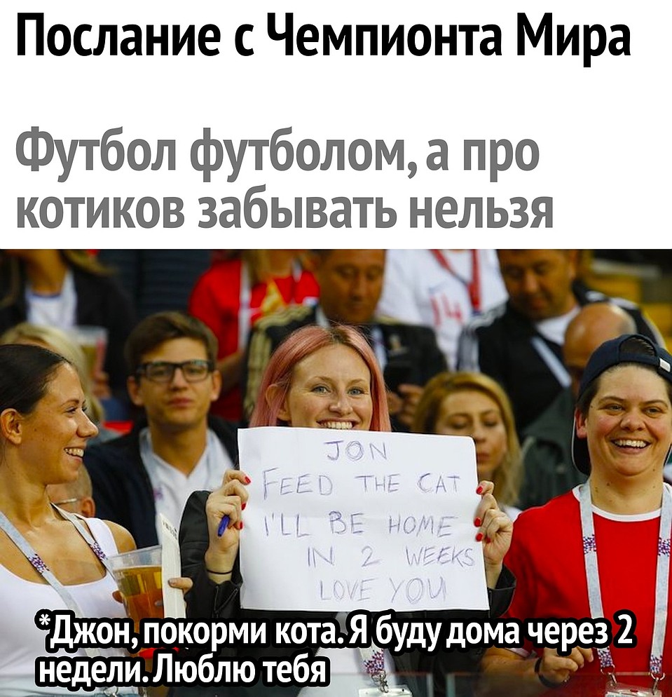 И конечно же, не стоит забывать про своих питомцев Фото: Соцсети
