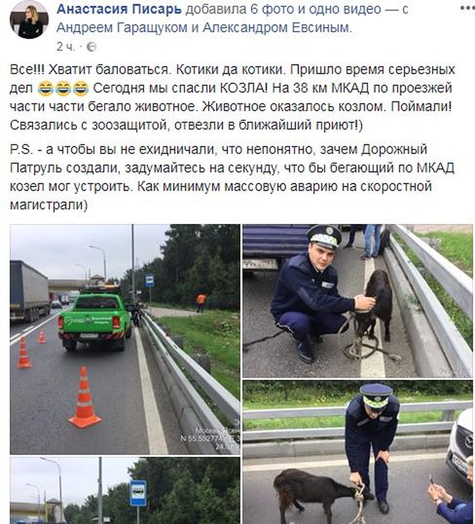 Сами сотрудники ЦОДД отнеслись к произошедшему с юмором