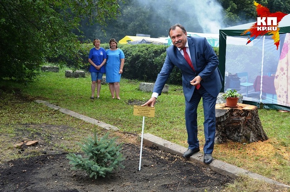 В честь 90-летия района депутатом Курской областной Думы В.А. Лазаренко в п. Касторное были посажены ели Фото: Ольга ТРУШКИНА