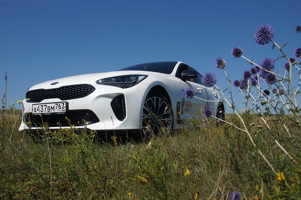 KIAStinger отлично смотрится и в городе, и на трассе и даже на грунтовке Фото: Светлана МАКОВЕЕВА