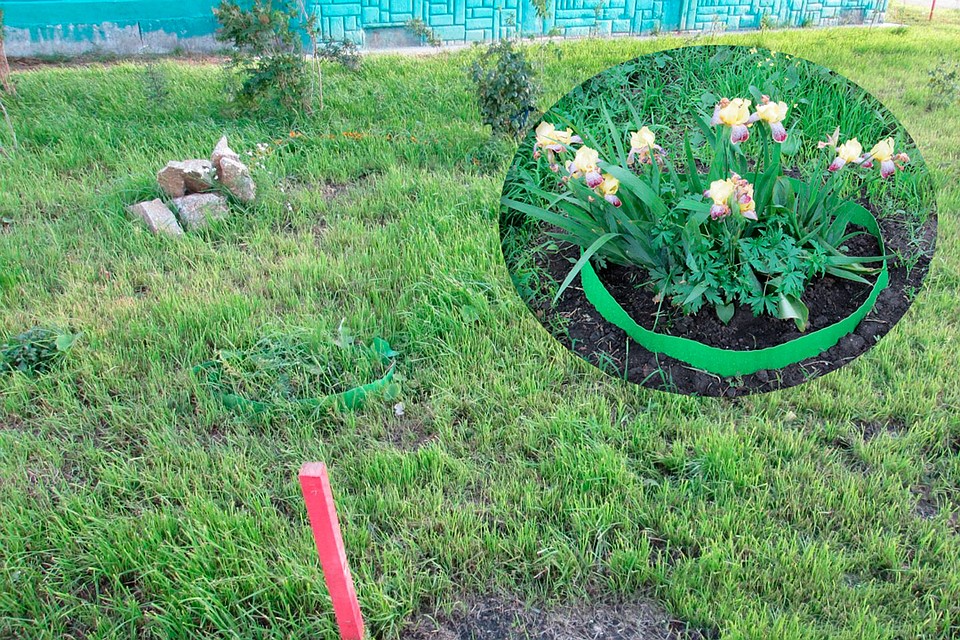 Высадили траву и первые цветы - стало симпатичнее. Фото: из архива героя публикации
