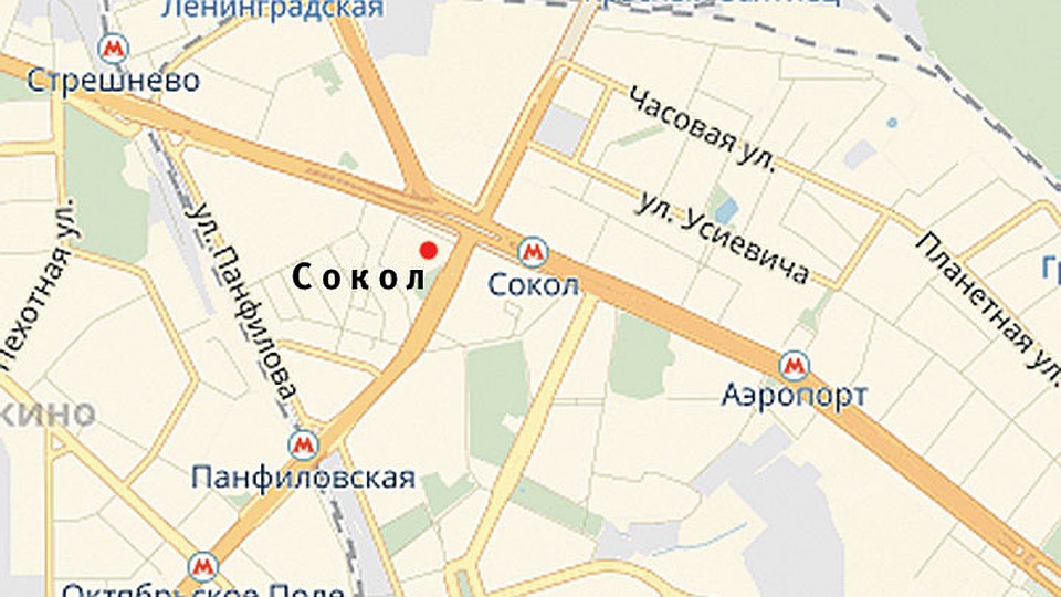 Сокол
