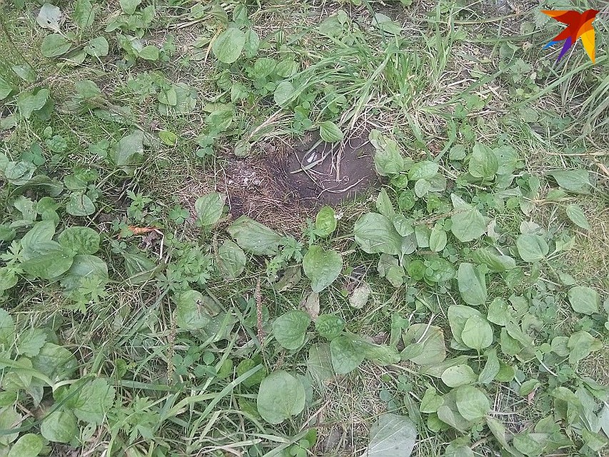 Убийцы прыгали по голове инвалида, из-за чего в земле образовалась вмятина. Фото: Елена БЛАГИНИНА