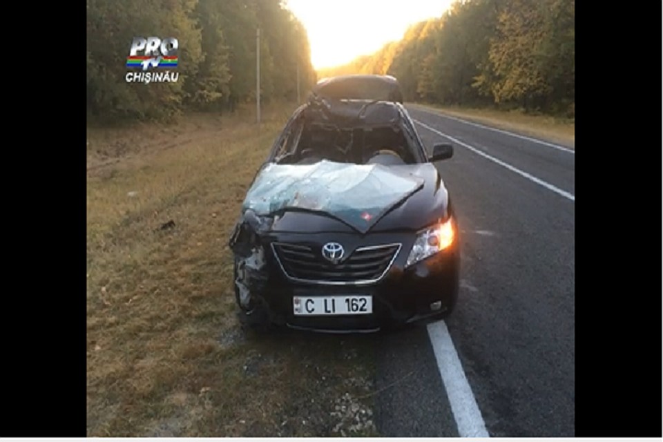 Автомобиль, в котором находился мэр Кишинева, врезался в лошадь (Фото: PROTV).