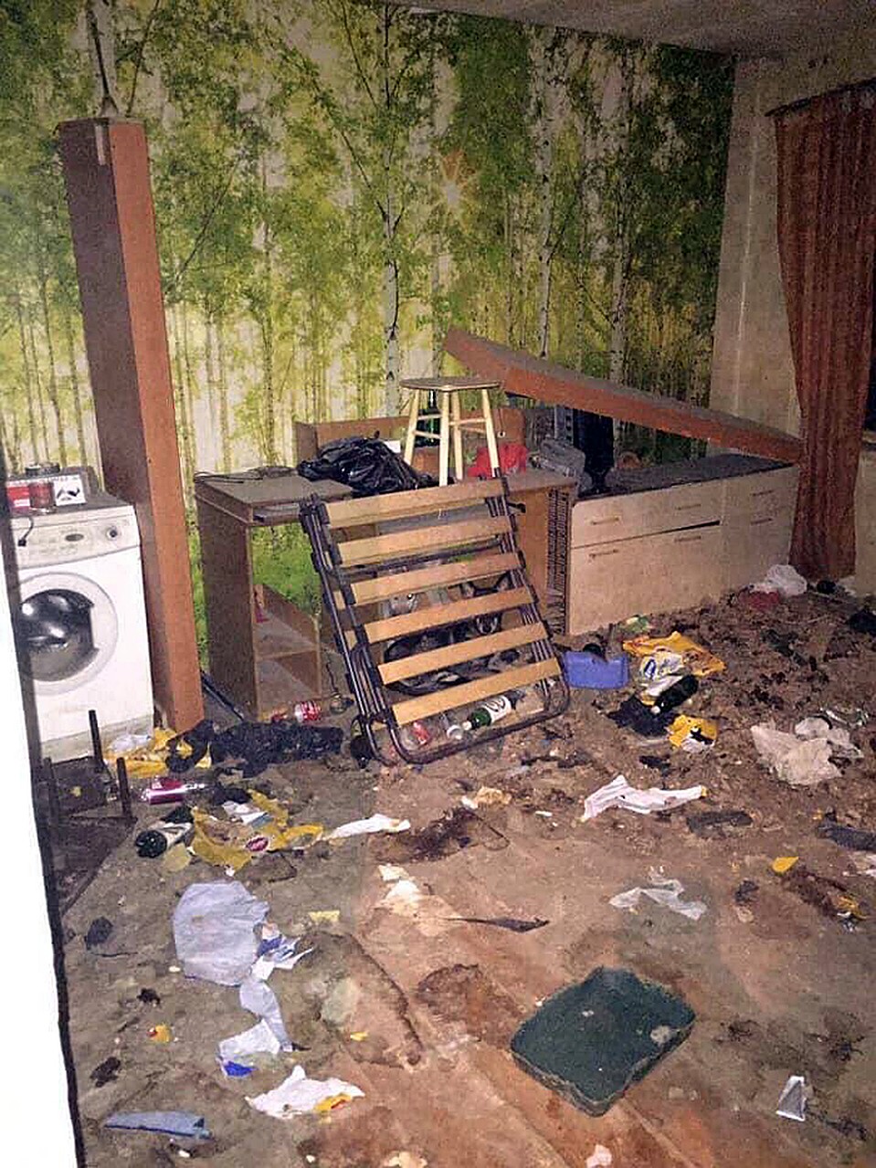 Однушка, в которой собаки обитали больше года представляет печальное зрелище