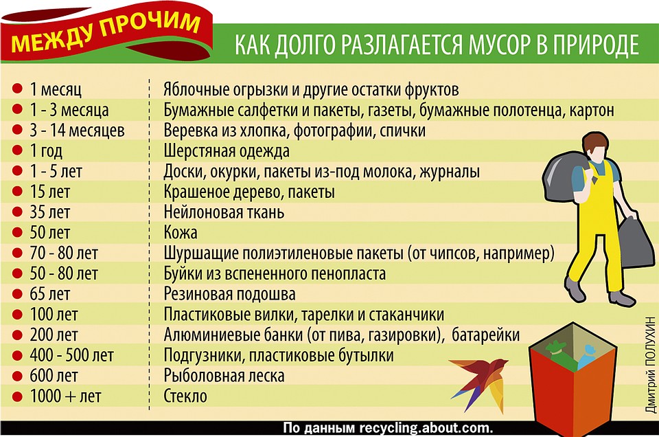 Как долго разлагается мусор в природе Фото: Дмитрий ПОЛУХИН