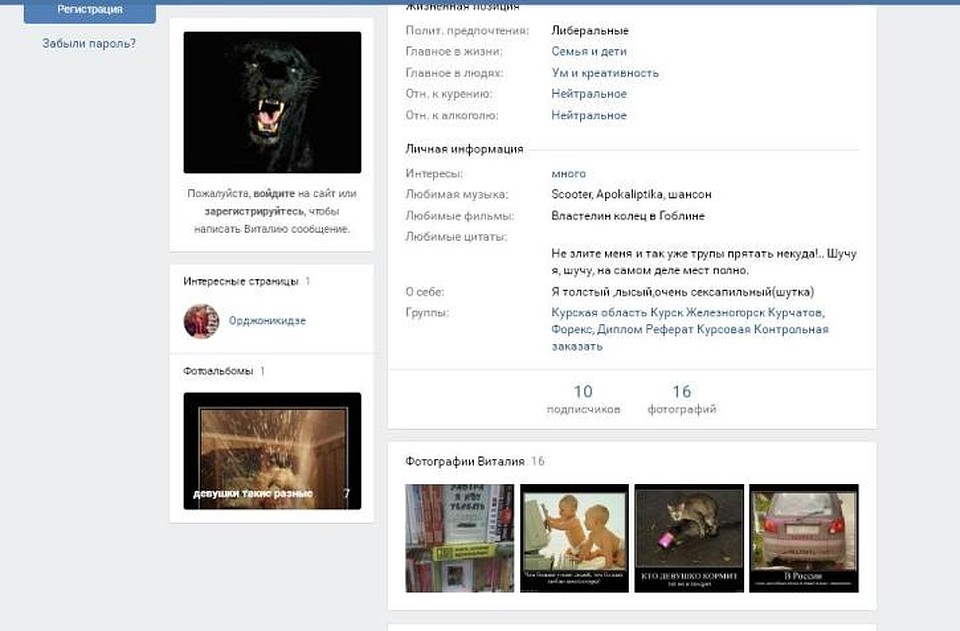 Любимая цитата Фото: Соцсети