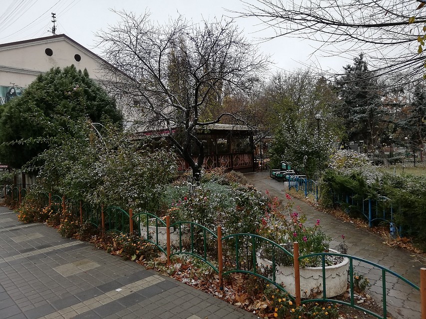 Клумбы стоят приророшенными. Фото: Анастасия КУРДЮКОВА