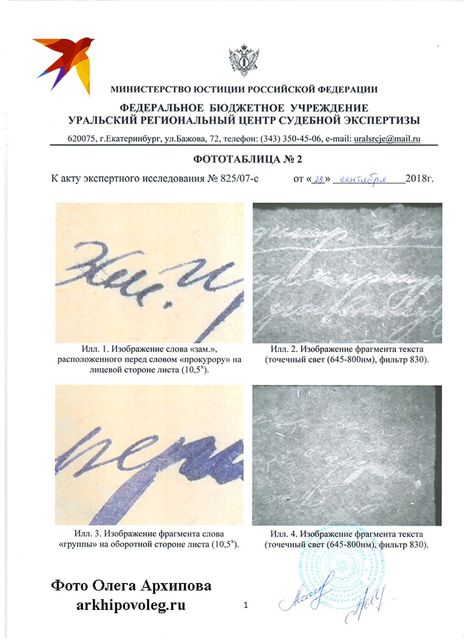 Техническая экспертиза