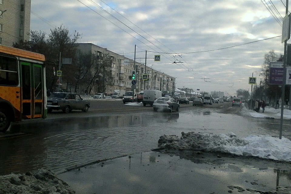 Фото: Наталья Седнева.
