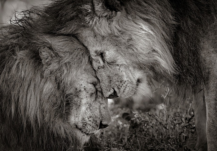 Фото: David Lloyd