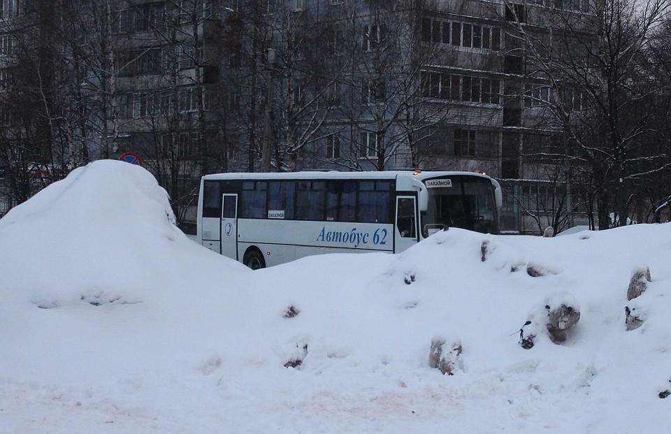 Невывезенные сугробы на улицах скрывают даже автобусы Фото: Владимир ФРОЛОВ