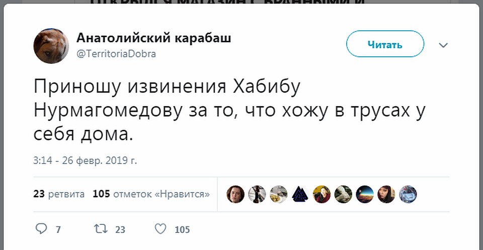 Хабиб Нурмагомедов стал героем мемов