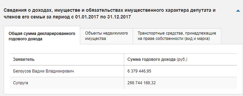 Фото: декларация о доходах