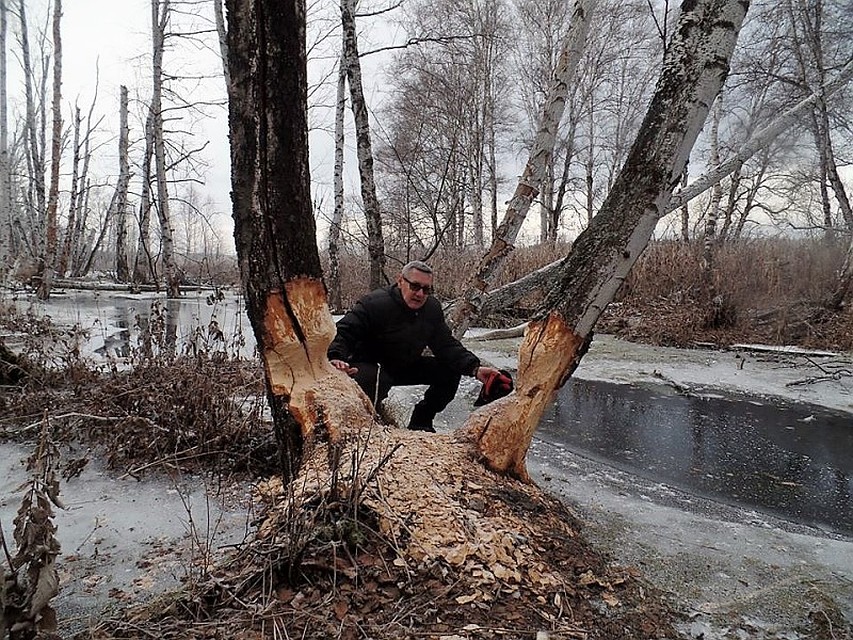 Еще немного и рухнут... Фото: Сергей СМИРНОВ
